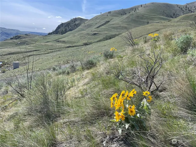 $350,000 | -nna East Iowa Street, Chelan, WA 98816