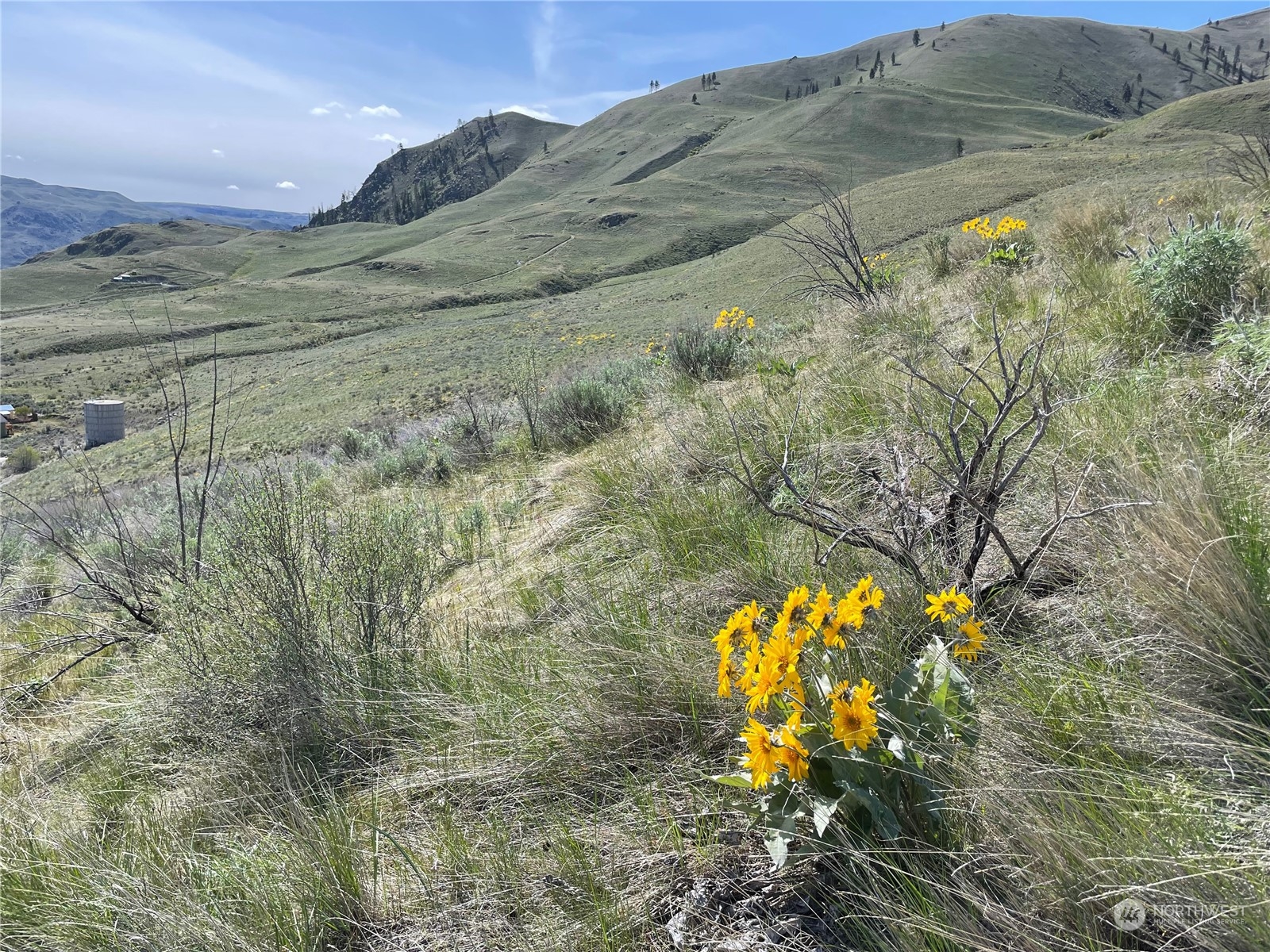 -nna East Iowa Street Chelan, WA 98816 - Photo 3 of 18