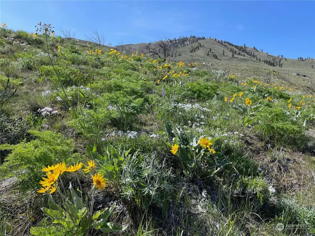 $350,000 | -nna East Iowa Street, Chelan, WA 98816