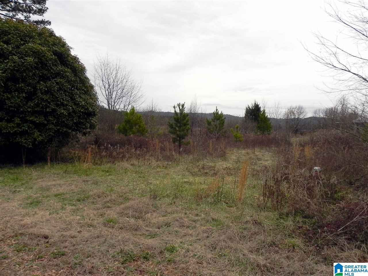 249 Field Street Anniston, AL 36207 - Photo 6 of 13