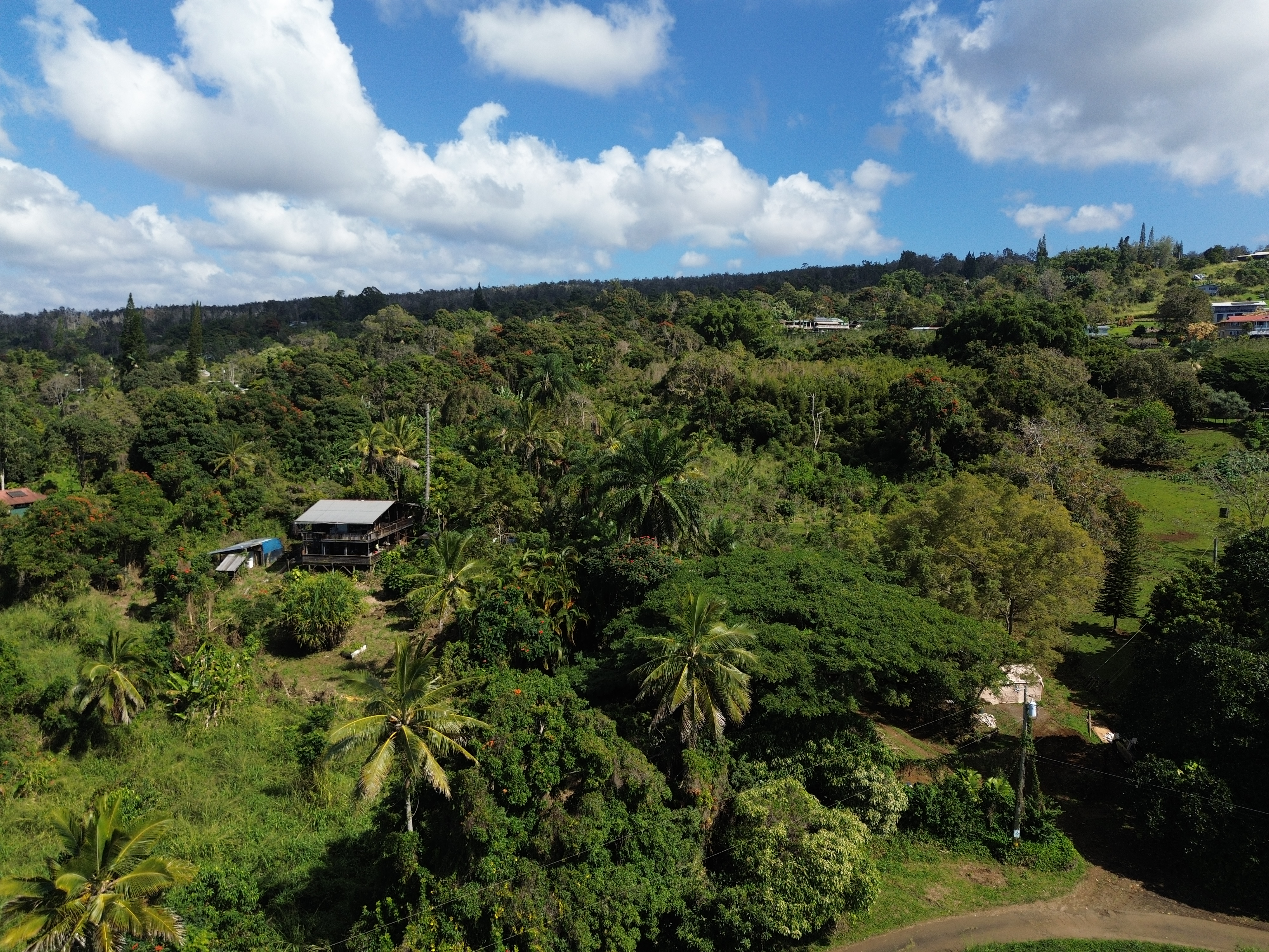 82-1161 Kinue Road Captain Cook, HI 96704 - Photo 2 of 24