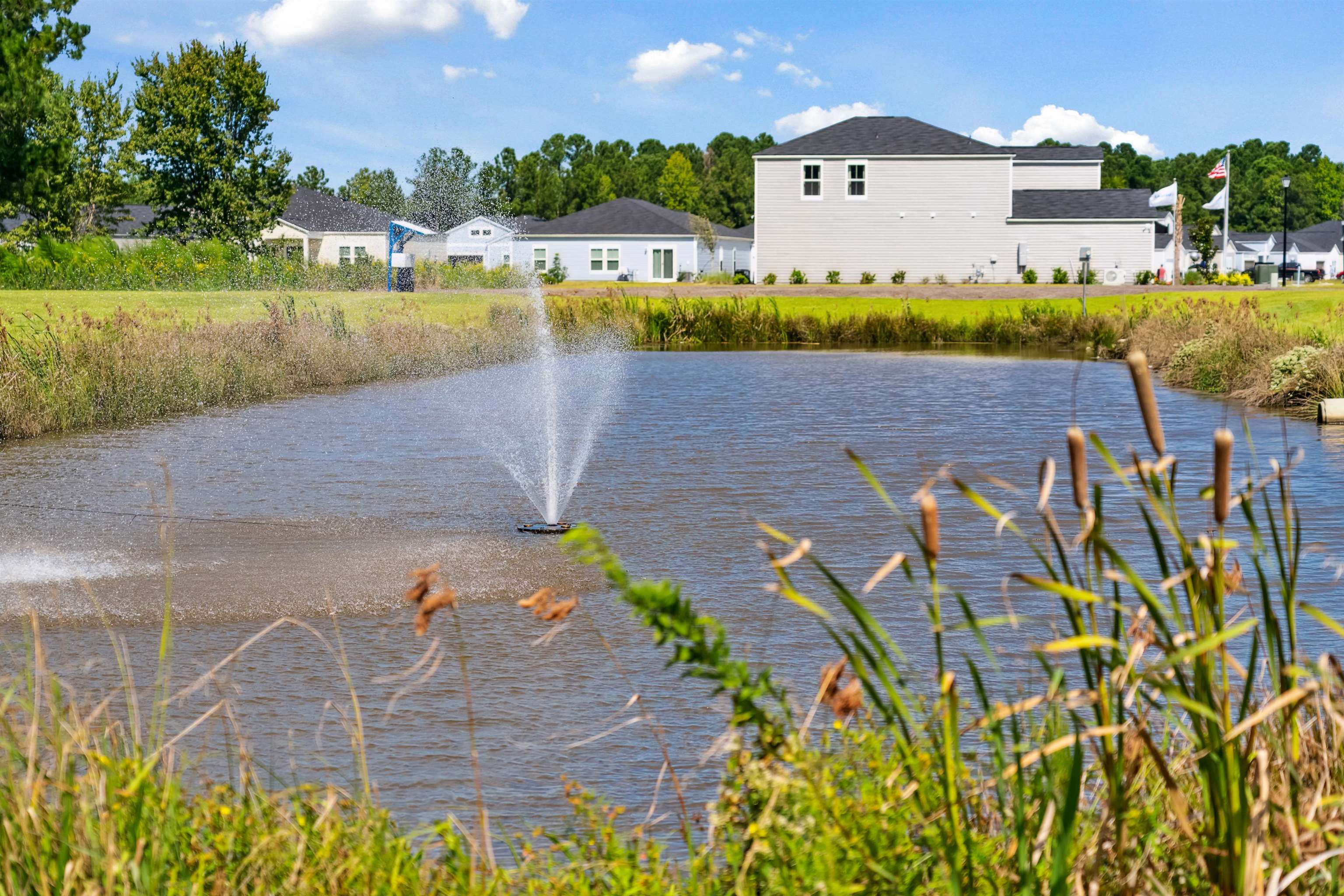 360 Sweet Vernal Street Longs, SC 29568 - Photo 31 of 36