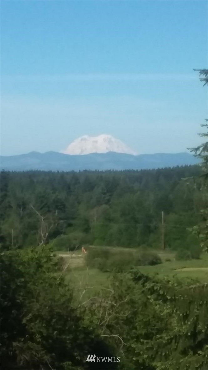504 Tennessee Road Winlock, WA 98596 - Photo 4 of 40 a view of an mountain and grassy field