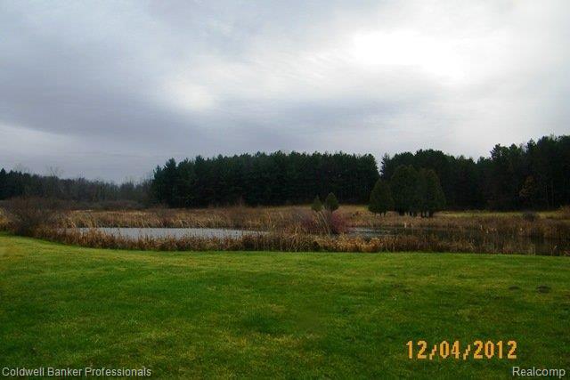 5618 Hasslick Road North Branch, MI 48461 - Photo 11 of 25 100_3830.JPG