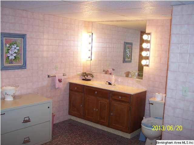 1154 Red Valley Road Remlap, AL 35133 - Photo 14 of 22