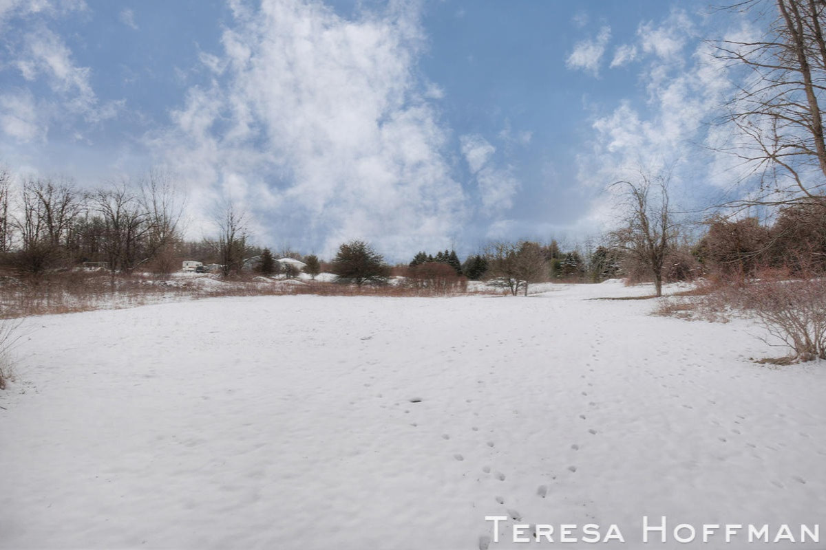 7180 Wabasis Road Northeast Belding, MI 48809 - Photo 21 of 22 7201Wabasis