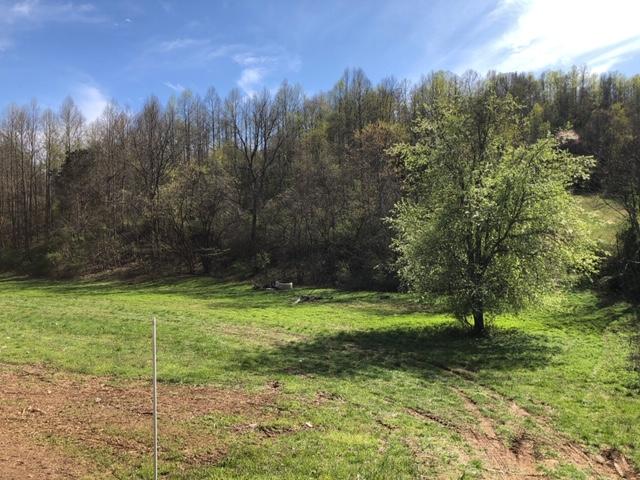373 Sequoyah Road Andersonville, TN 37705 - Photo 3 of 7 seq pic 3