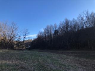 373 Sequoyah Road Andersonville, TN 37705 - Photo 5 of 7 image4