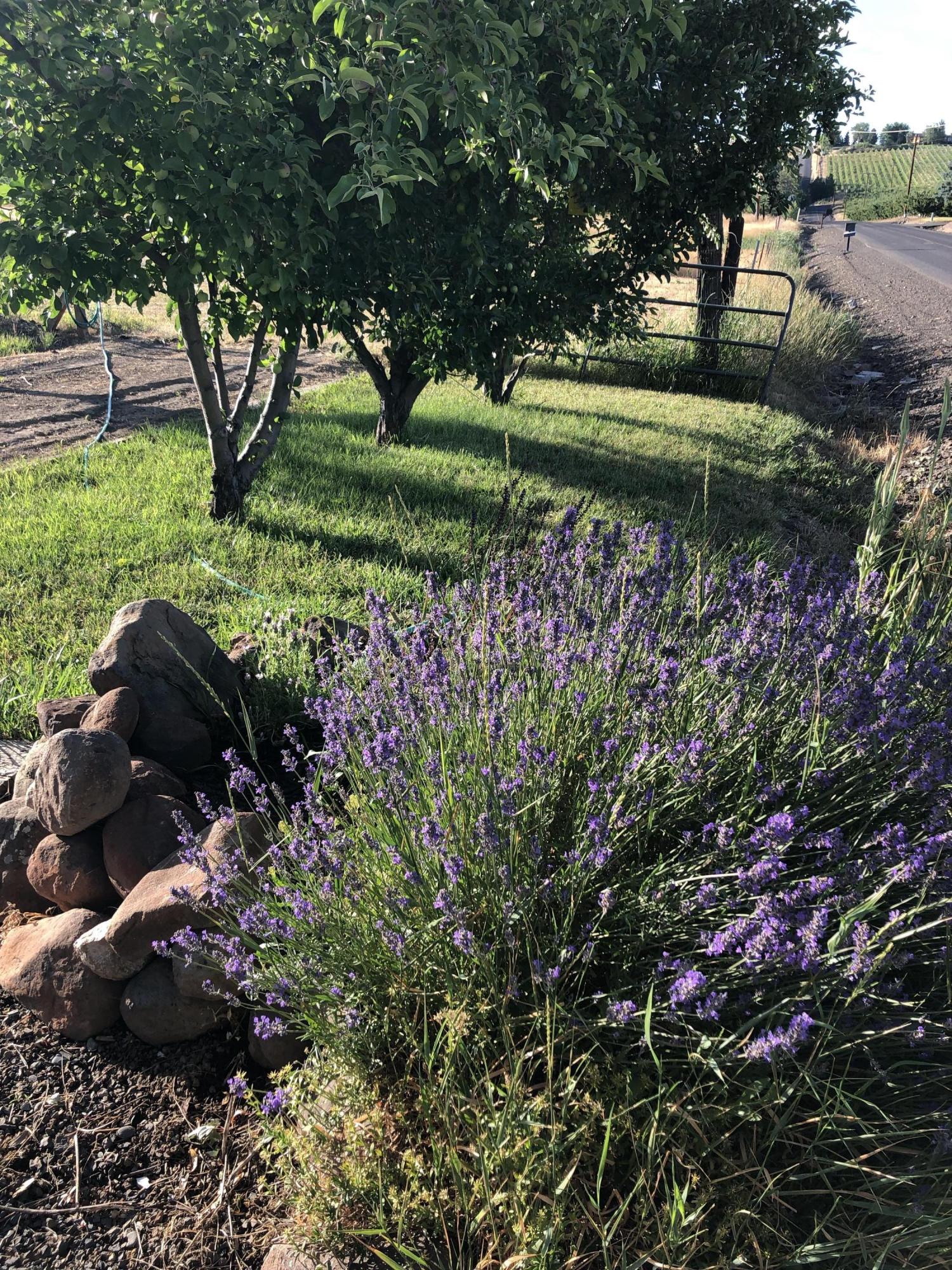 206 Hunziker Road Yakima, WA 98908 - Photo 24 of 28 a view of a garden with a tree