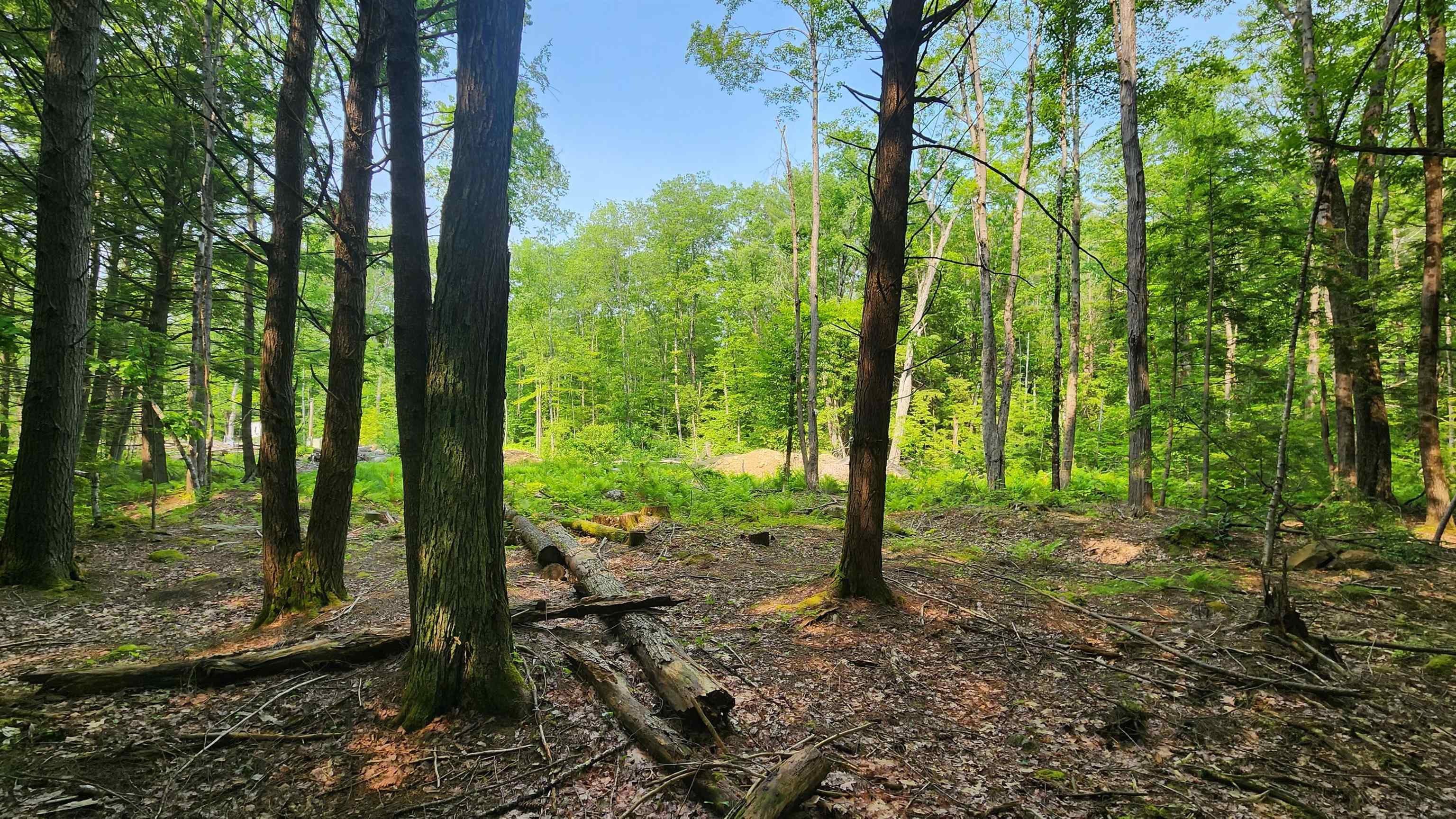 104 Beauty Hill Road Barnstead, NH 03225 - Photo 15 of 17