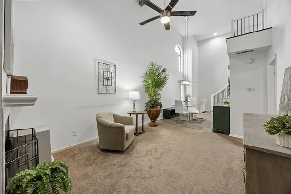 a living room with furniture and a potted plant