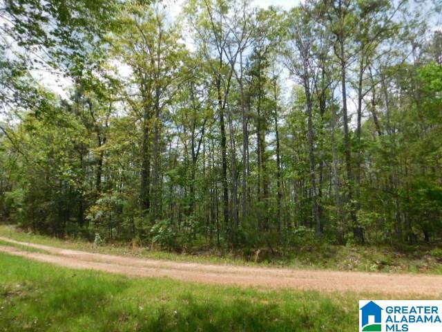 2 Pointe South Drive Wedowee, AL 36278 - Photo 2 of 6