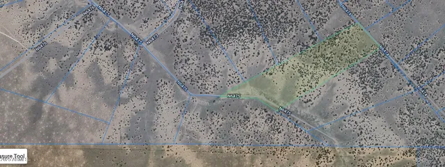 a close up of a plant