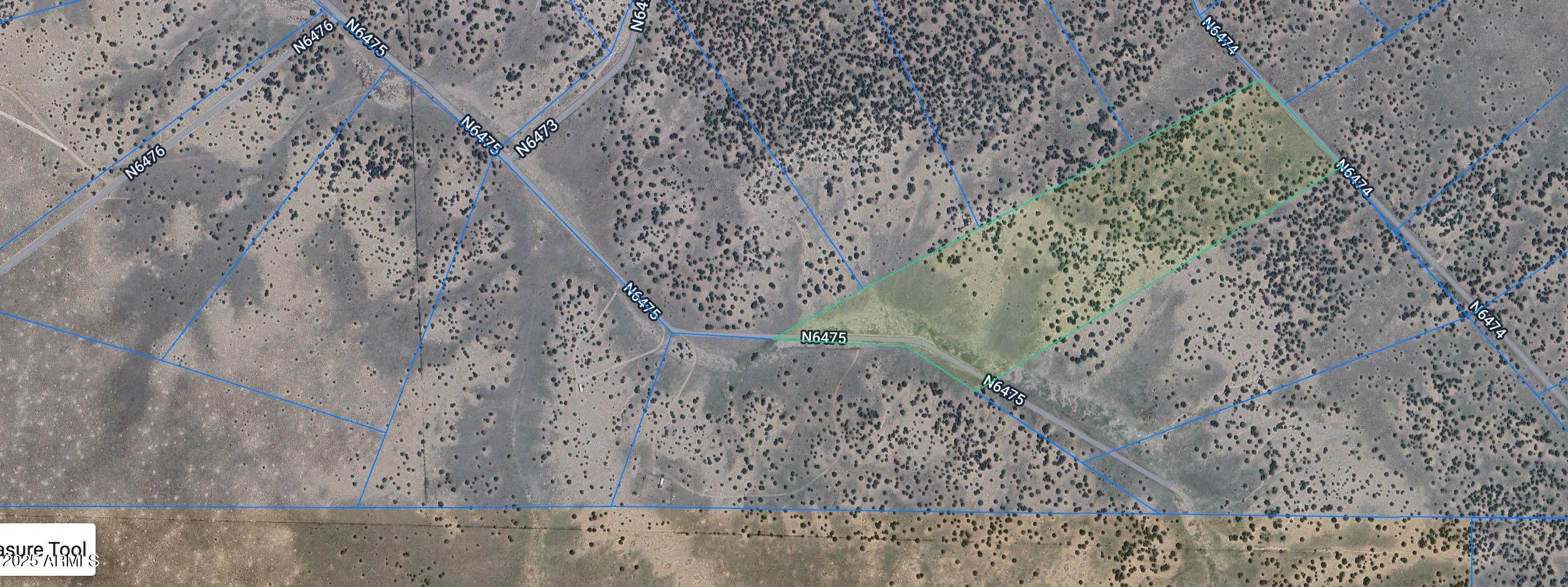 a close up of a plant