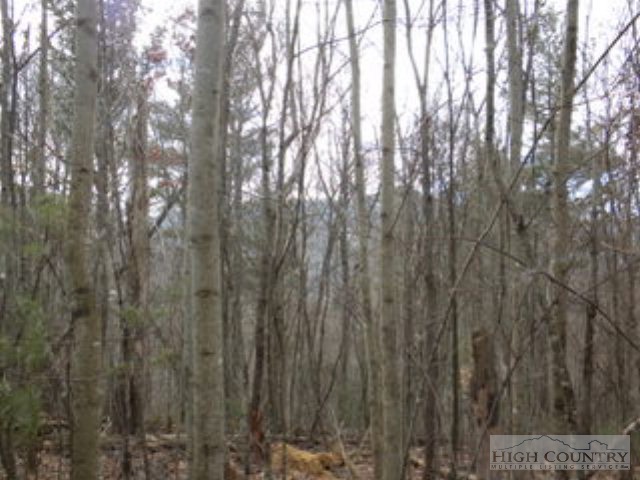 Lot 24 Rosa Road Warrensville, NC 28693 - Photo 1 of 6