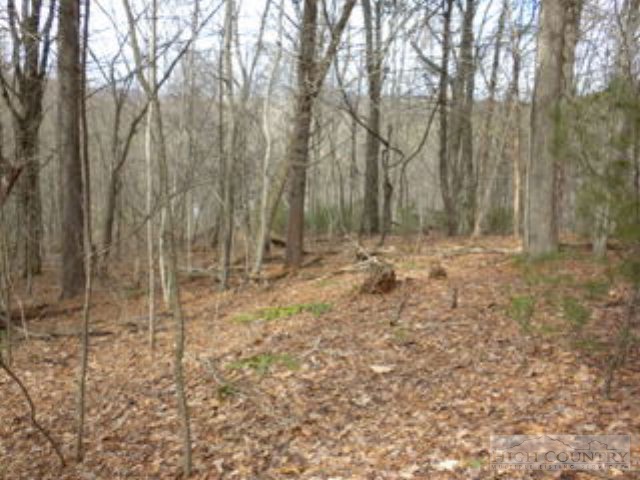 Lot 24 Rosa Road Warrensville, NC 28693 - Photo 3 of 6