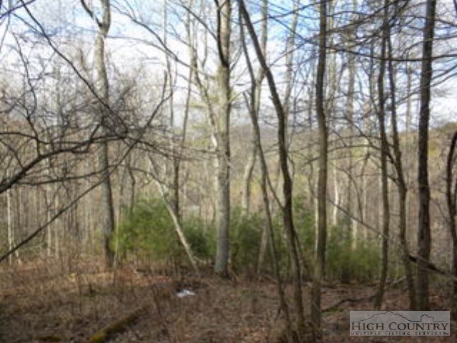 Lot 24 Rosa Road Warrensville, NC 28693 - Photo 5 of 6