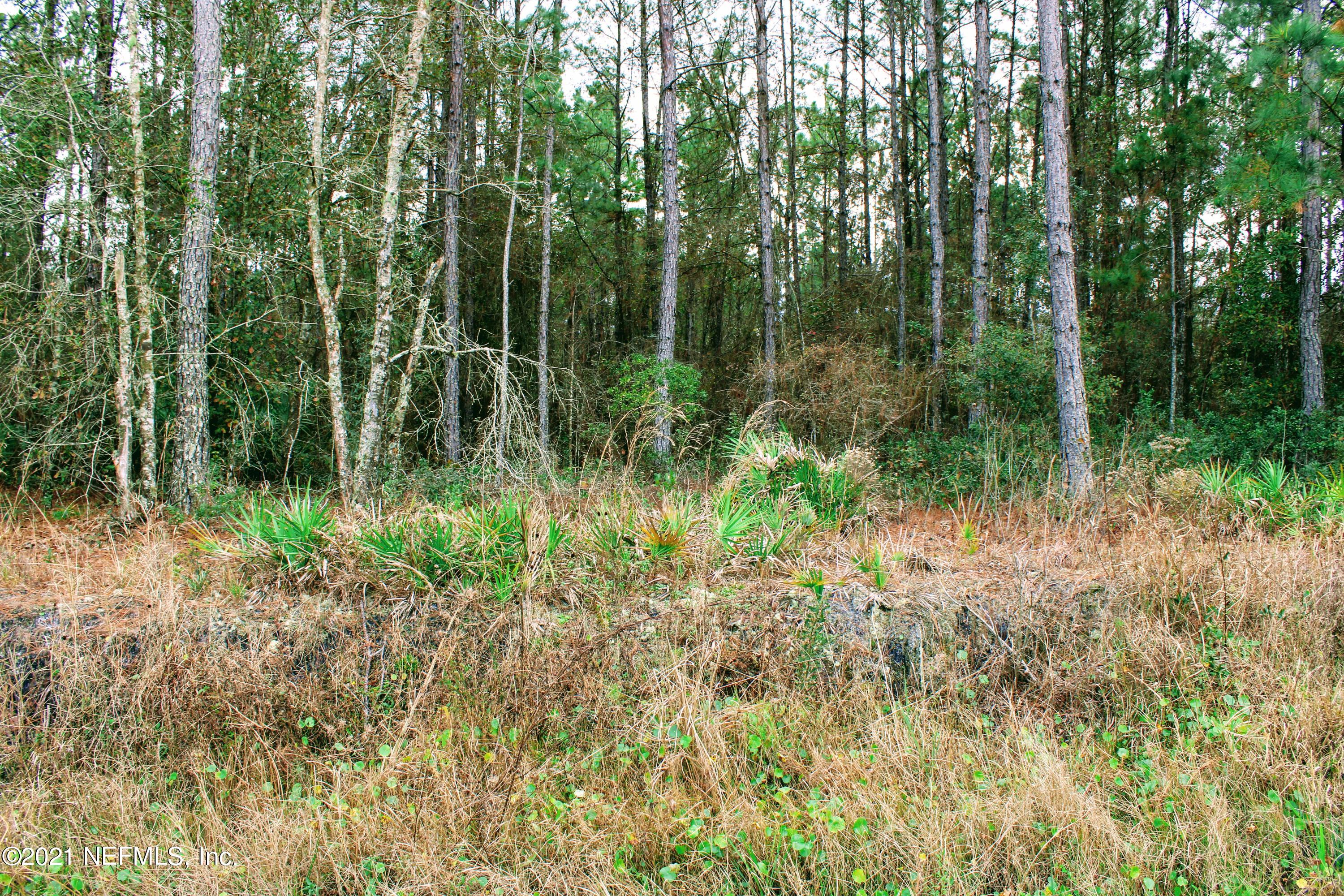 5895 Trawick Road Keystone Heights, FL 32656 - Photo 5 of 7 IMG_0667
