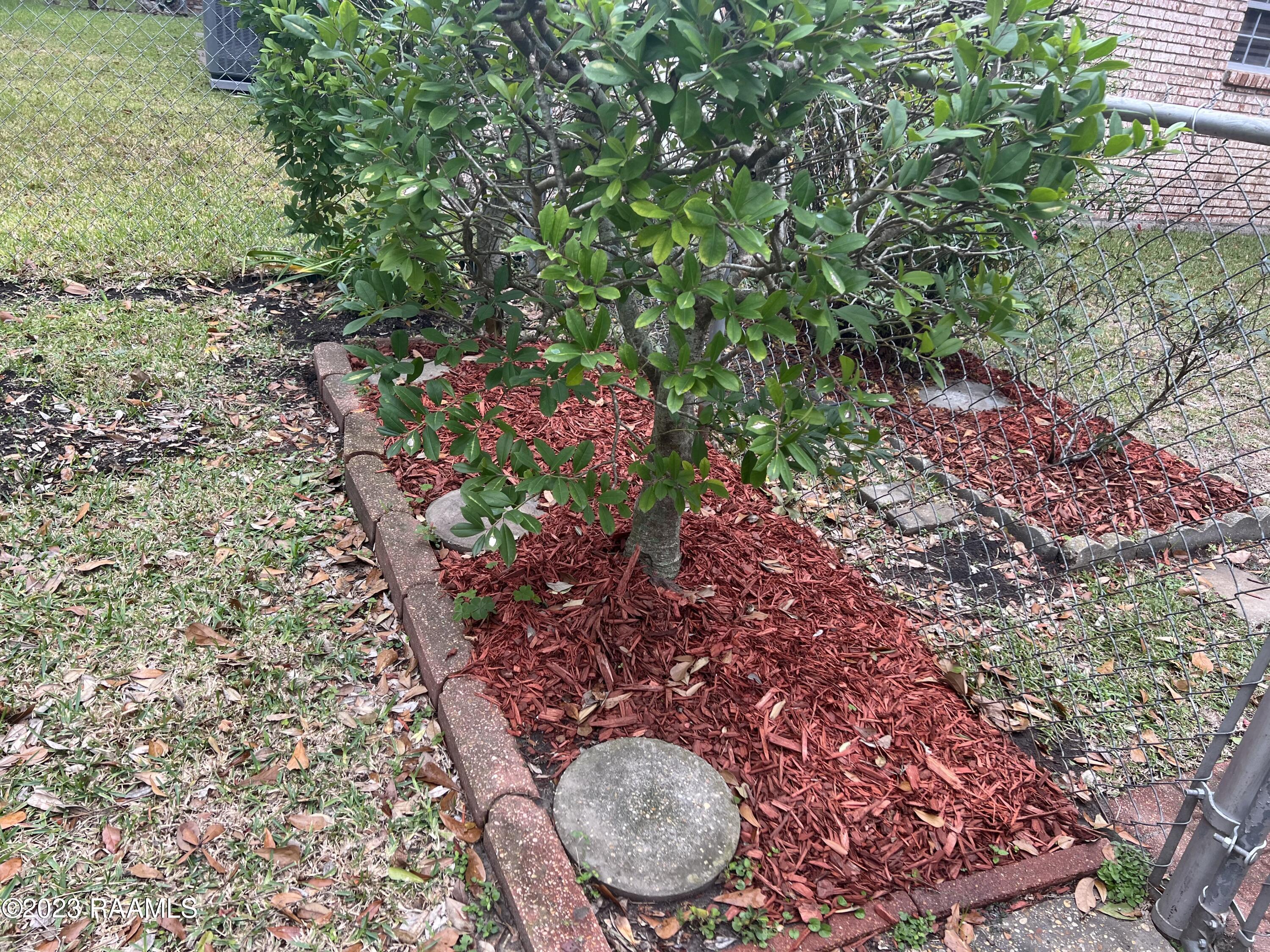 320 Rena Drive Lafayette, LA 70503 - Photo 19 of 20 IMG_5834