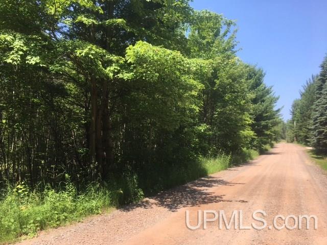 Tbd Willow Road Marquette, MI 49855 - Photo 2 of 2 Gallery Image 2