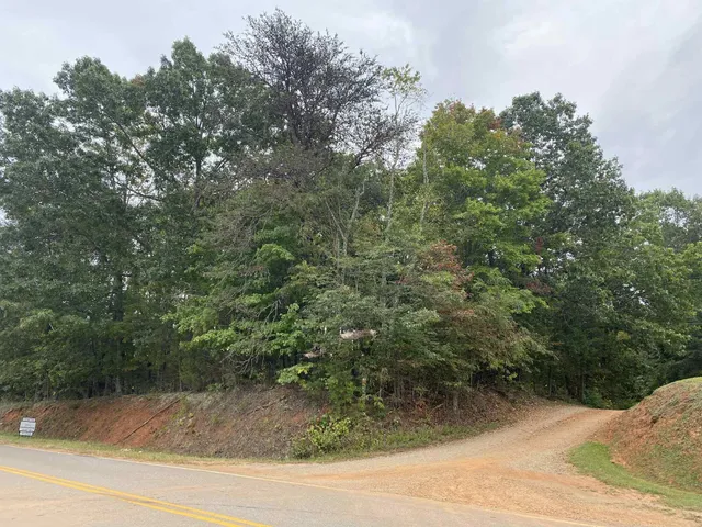 a view of a yard from a window