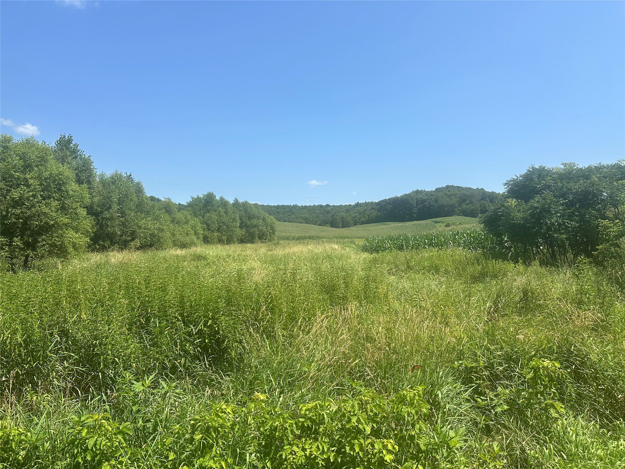 4685 South Oak Knoll Road Fall Creek, WI 54742 - Photo 1 of 1 Gallery Image 1