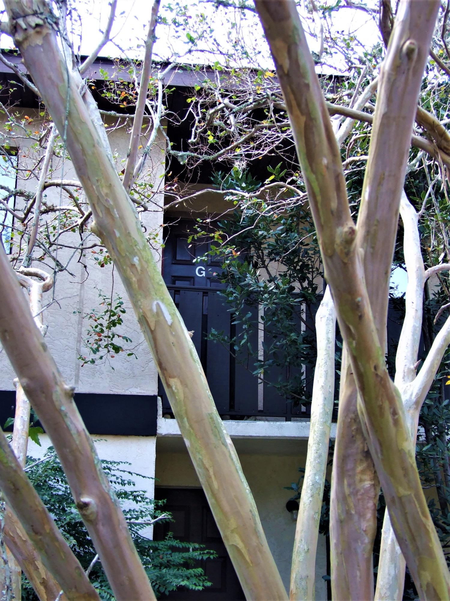 2170 Bees Ferry Road, Unit G Charleston, SC 29414 - Photo 22 of 23 DSCF3054