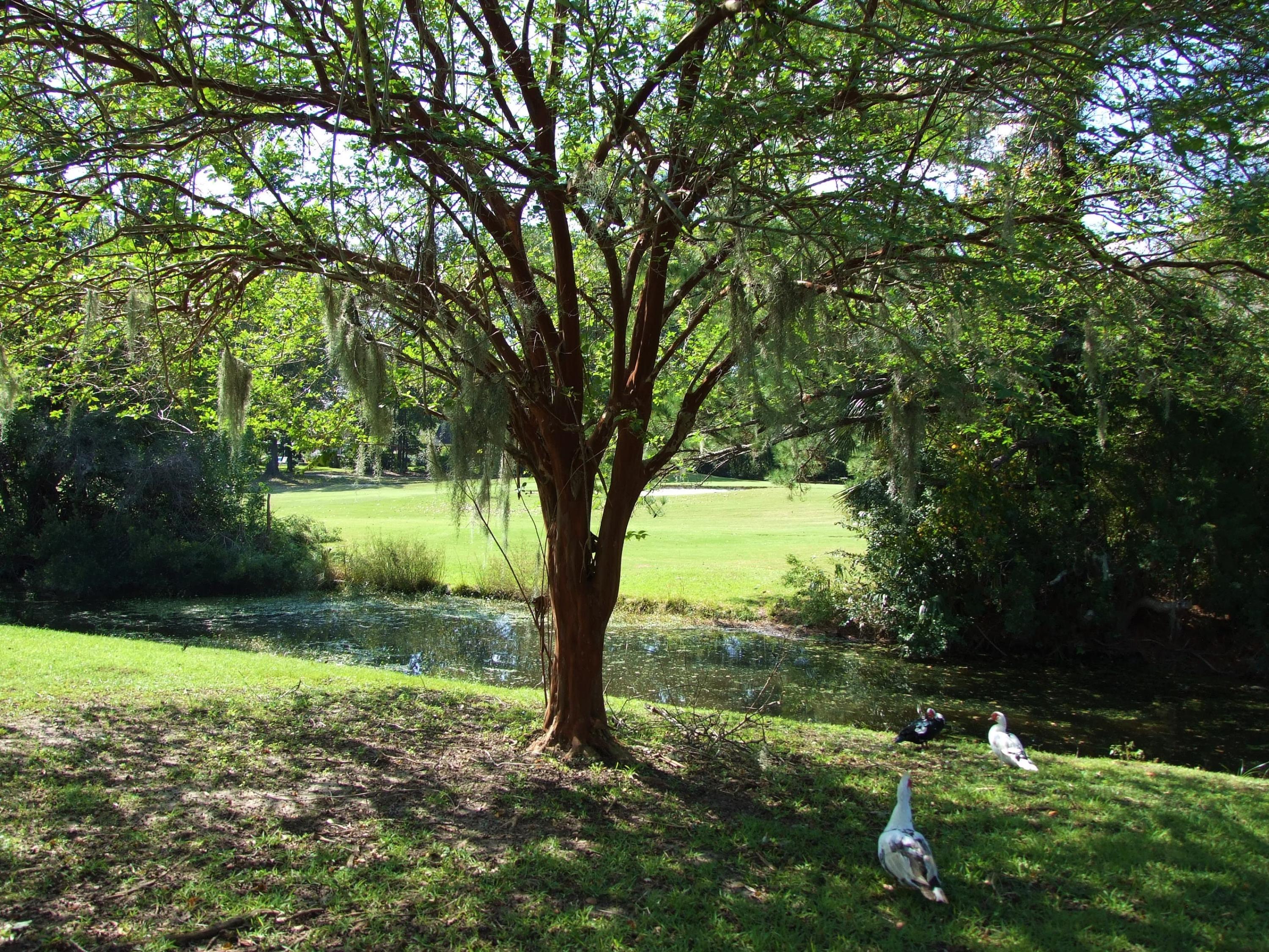 2170 Bees Ferry Road, Unit G Charleston, SC 29414 - Photo 4 of 23 DSCF3057