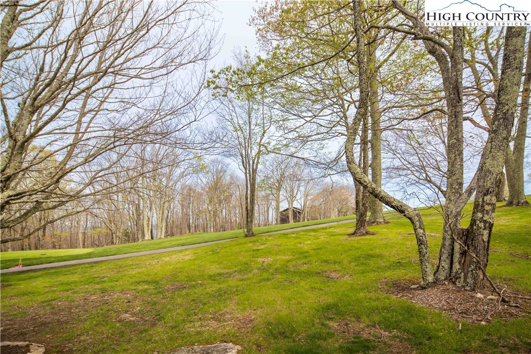109 Old Field Road Beech Mountain, NC 28604 - Photo 44 of 50 a view of outdoor space with trees all around