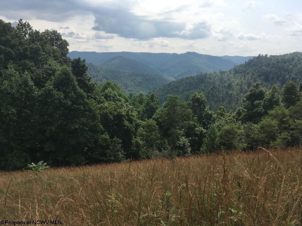 241 Rocky Ridge Hacker Valley, WV 26222 - Photo 15 of 30 Gallery Image 15