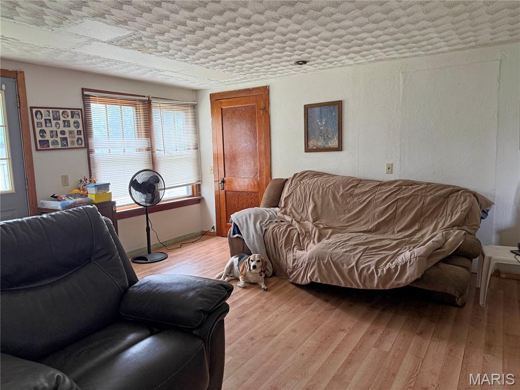 201 Kaskaskia Street Ruma, IL 62278 - Photo 11 of 14