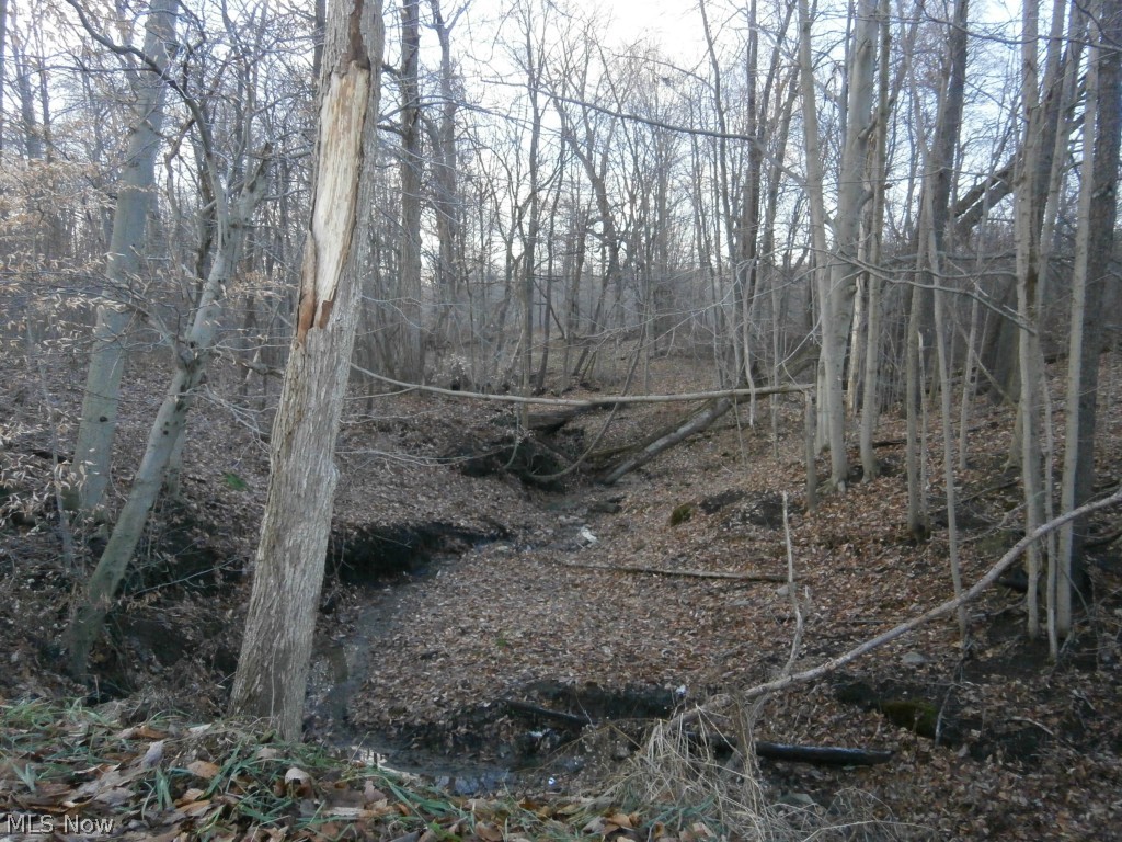 Fisher Road Burton, OH 44021 - Photo 2 of 10
