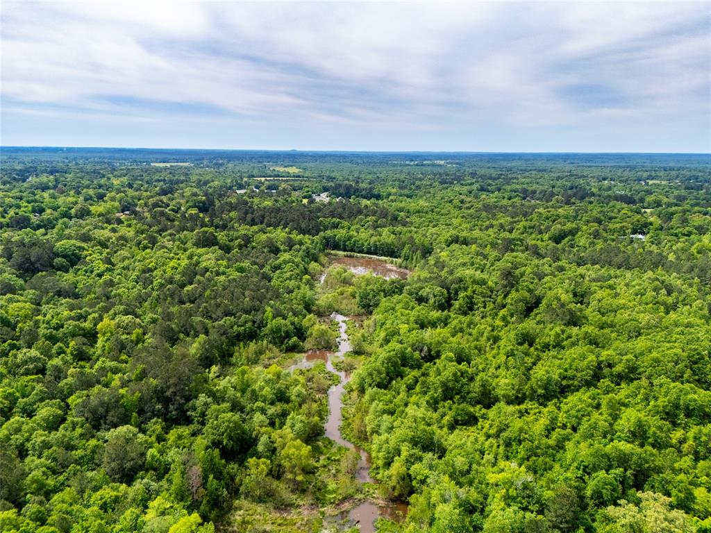 Tbd White Oak Road Big Sandy, TX 75755 - Photo 12 of 24