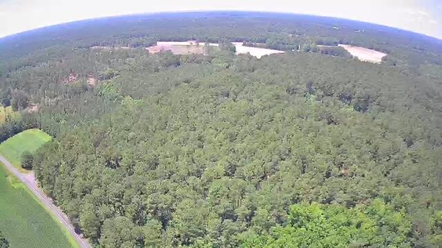 0 Nursery Road Reevesville, SC 29471 - Photo 2 of 11