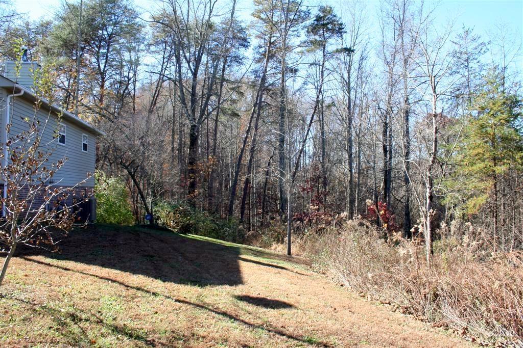 3871 Freels Road Friendsville, TN 37737 - Photo 34 of 39 IMG_1090