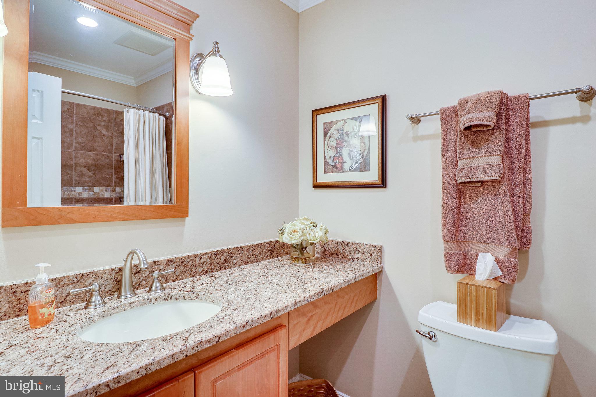 7072 Leestone Street Springfield, VA 22151 - Photo 50 of 62