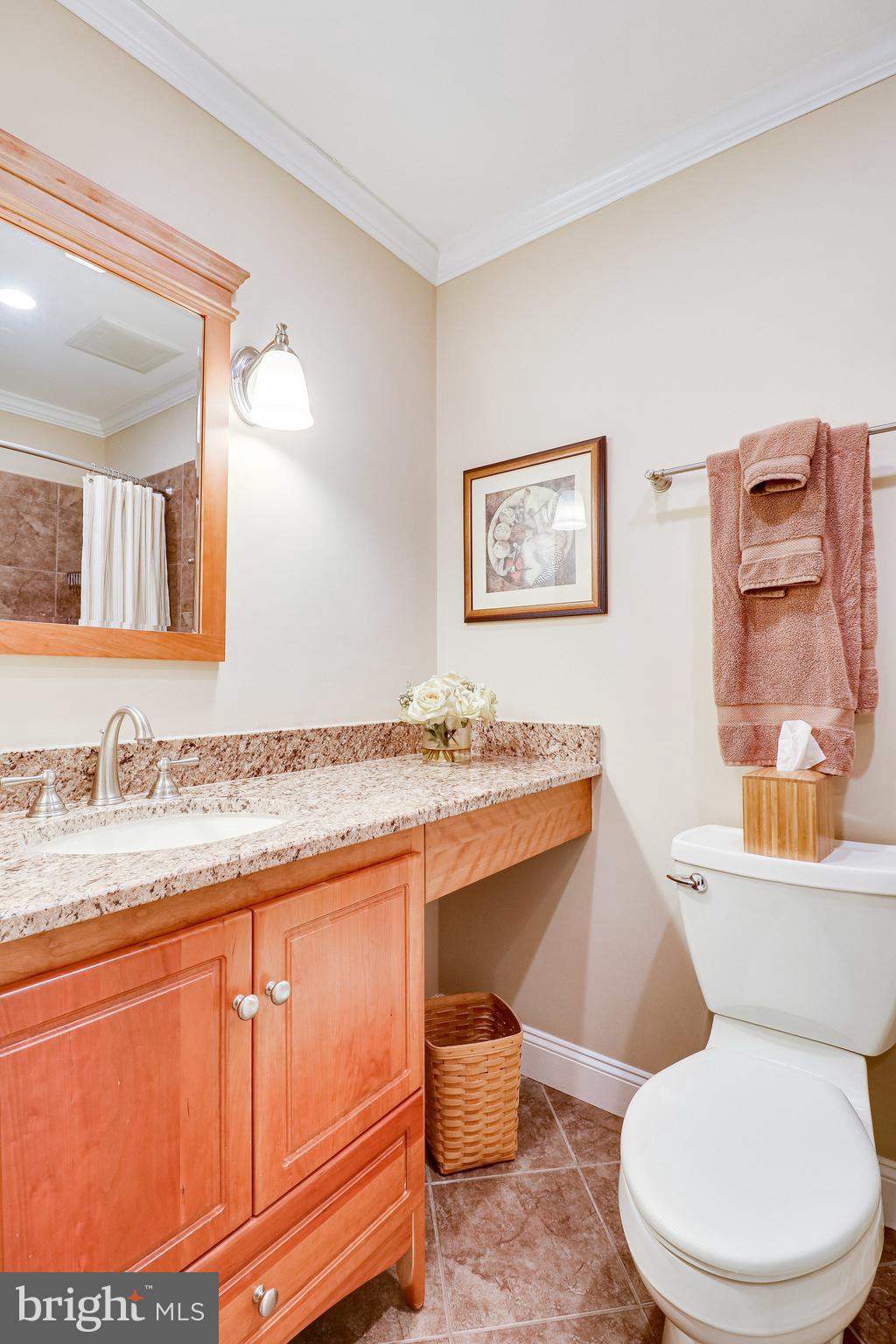 7072 Leestone Street Springfield, VA 22151 - Photo 51 of 62