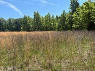 4275 Grubbs Road Walkertown, NC 27051 - Photo 12 of 16