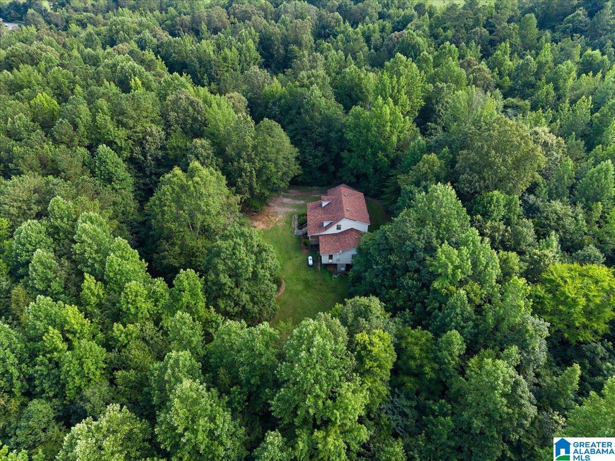 7950 Joy Road Blountsville, AL 35031 - Photo 32 of 35