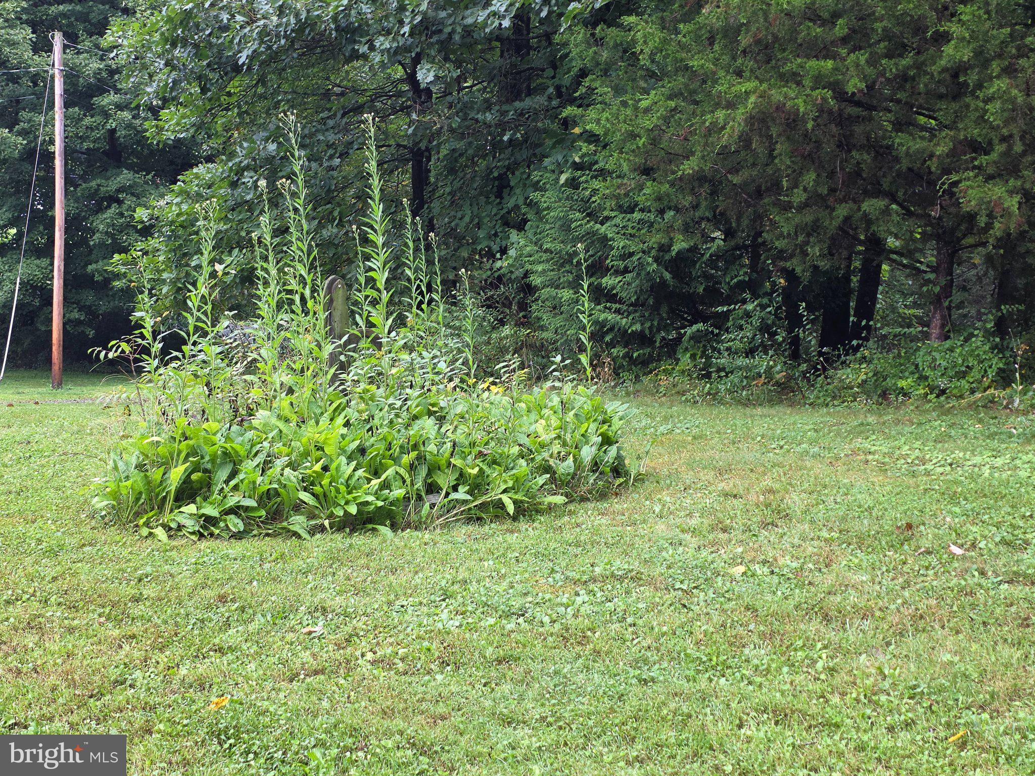 24922 Locke Road Fort Loudon, PA 17224 - Photo 28 of 31 Gallery Image 28