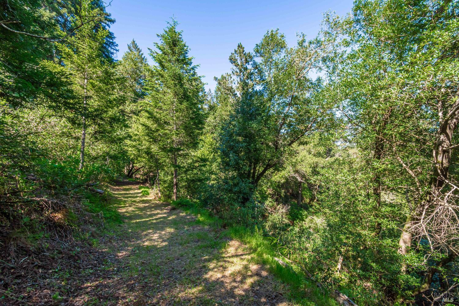 0 Dry Creek Road Napa, CA 94558 - Photo 36 of 98