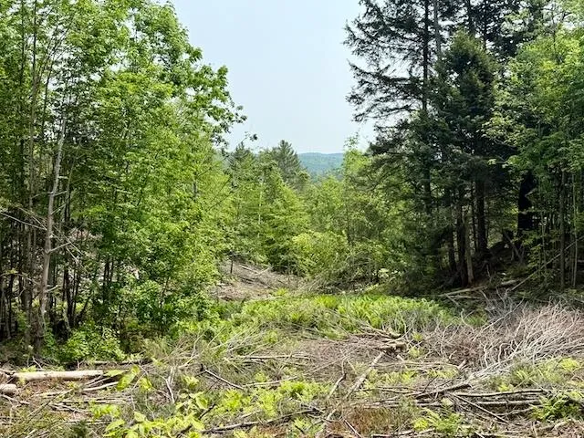 $450,000 | Peavine Boulevard, Bethel, VT 05032