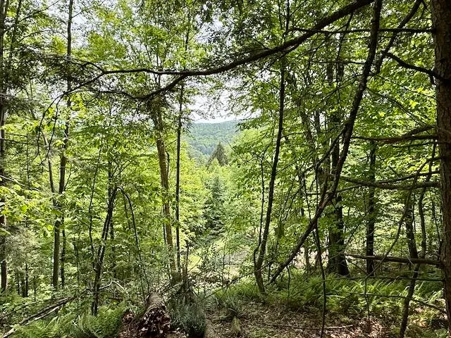 $450,000 | Peavine Boulevard, Bethel, VT 05032