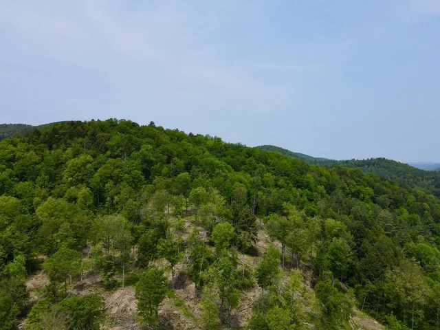 $450,000 | Peavine Boulevard, Bethel, VT 05032