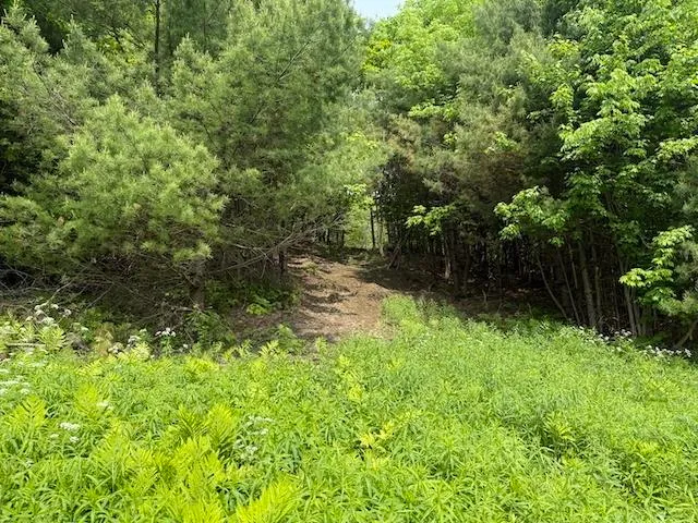 $450,000 | Peavine Boulevard, Bethel, VT 05032