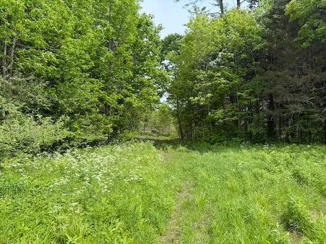 $450,000 | Peavine Boulevard, Bethel, VT 05032