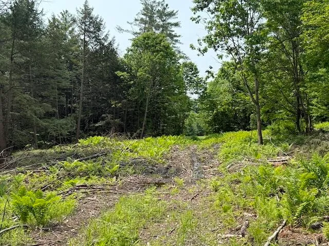 $450,000 | Peavine Boulevard, Bethel, VT 05032