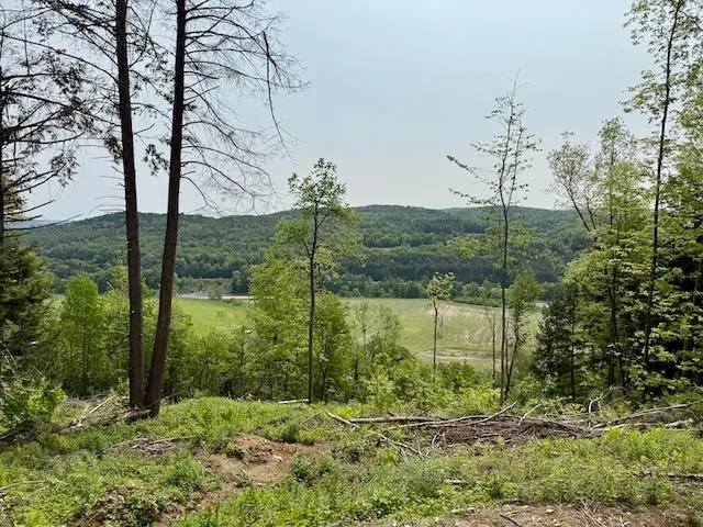 $450,000 | Peavine Boulevard, Bethel, VT 05032