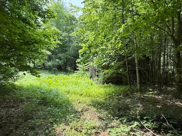 $450,000 | Peavine Boulevard, Bethel, VT 05032