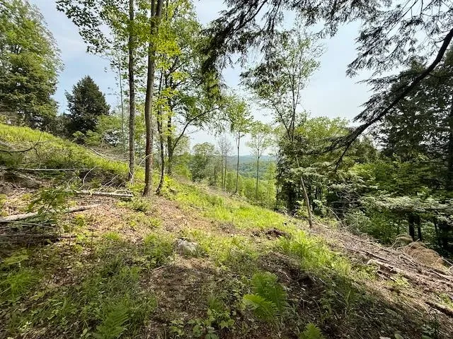 $450,000 | Peavine Boulevard, Bethel, VT 05032